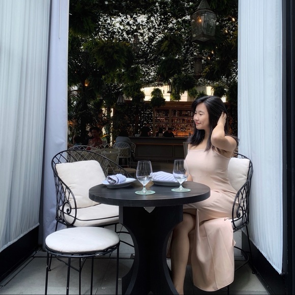 Aritiza Babaton Blush Maxi Dress (reformation) - Picture 4 of 4